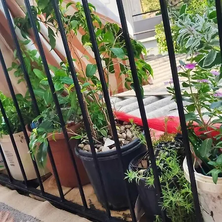 Guest In Local Family House מלון פאטהיה