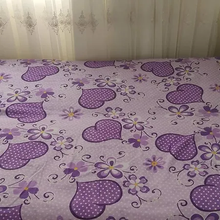 Guest In Local Family House