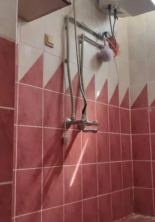 Guest In Local Family House